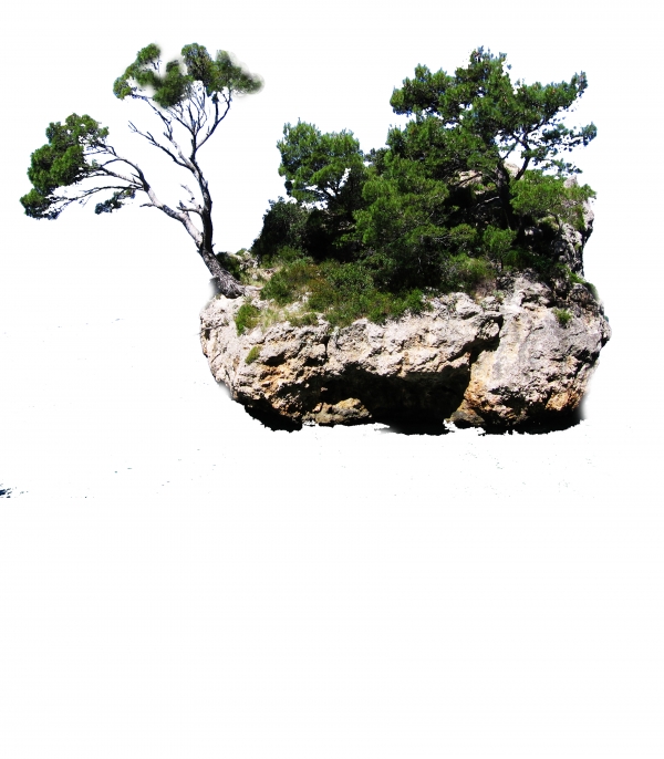 Creation of PRESERVATION: Step 2